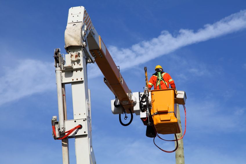 fleet mangement consultant