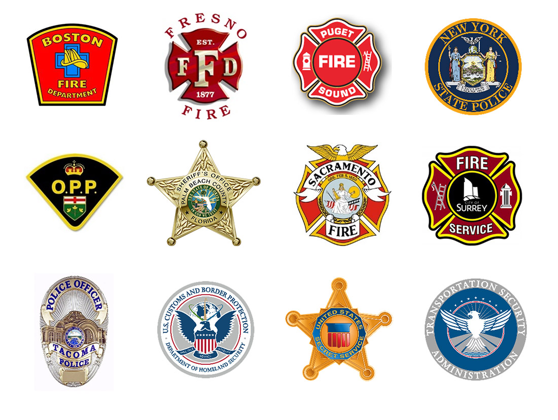 fleet management public safety clients Mercury Associates Inc